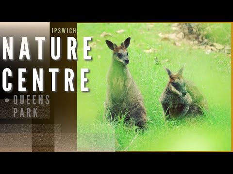 地図で見る: クイーンズランド州