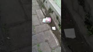 Download lagu Mimpi Nemu Uang Hahaha...🤣🤣🤣 #shortsfeed #shorts #shortvideo #short #shortsvideo mp3 Download lagu Mimpi Nemu Uang Hahaha...🤣🤣🤣 #shortsfeed #shorts #shortvideo #short #shortsvideo mp3