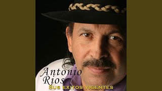 Añoranza Lyrics English Translation