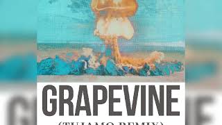 Tiësto - Grapevine (Tujamo Remix)