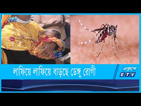 ডেঙ্গু রোগির বেশির ভাগই ১ থেকে ১০ বছরের শিশু