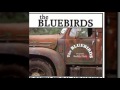 The Bluebirds - Don't Take My Place