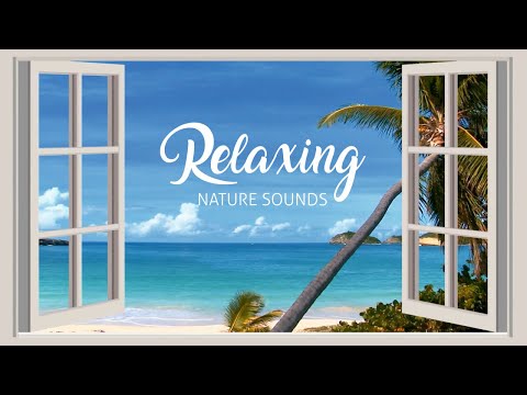 🌊 Ocean Window - Tropical Sea View - Relaxing Wave Sounds - Deep sleeping with window open