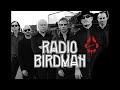 RADIO BIRDMAN  -  Murder City Nights