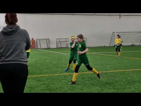 HauPa T1213 keltainen - HauPa T1213 vihreä (2/3)