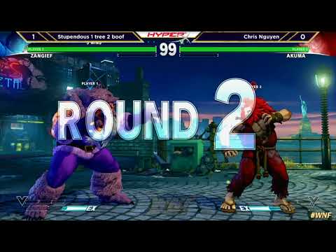 WNF 1.10.2018 SFV (Stupendous 1 tree 3 boof) vs (Chris Nguyen)