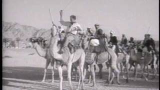 Lawrence of Arabia - Teaser - Camel Training.VOB