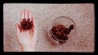 Collected fragments of summer