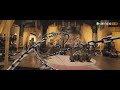Clip 巩仙为救郡主 只身前往婚宴 巩仙 Immortal Of Mr Gong