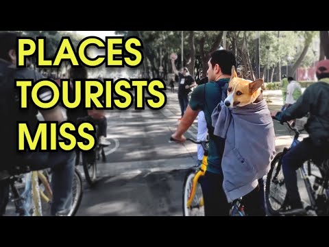 5 Hidden Gems in Mexico City – A Travel Guide to Secret Spots!