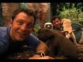 Zoboomafoo Cap 13 Cachorros