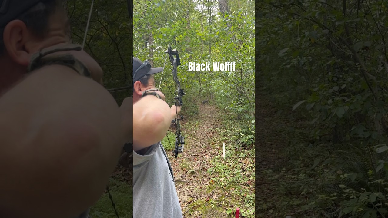 GIANT 3D Black Wolf with Bow👀🏹 #archery #hunting