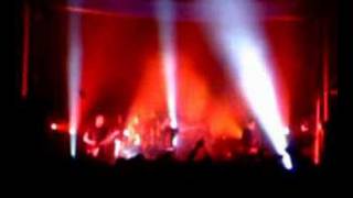 Maximo Park - Graffiti wolves