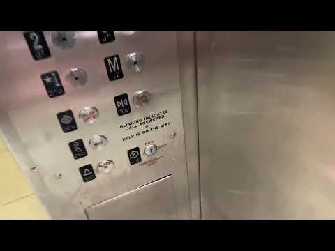 Westinghouse/Schindler Traction Scenic Elevators @ Miami Passport Agency, Miami, FL