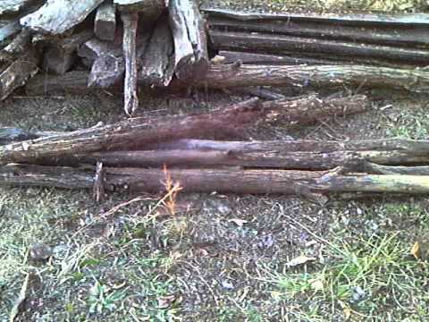 08122010 Schwartenholz