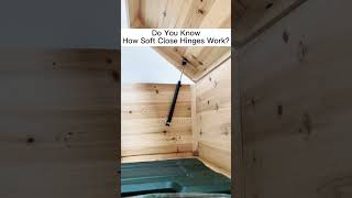 Download lagu Do You Know How Soft Close Hinge Work #diy #toybox #chest #safety mp3 Download lagu Do You Know How Soft Close Hinge Work #diy #toybox #chest #safety mp3
