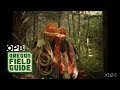 Descending Into The Hell Hole Of Oregon’s Central Cascades | Oregon Field Guide from the Archives