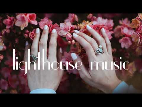 Windsor for The Derby - The Melody of a Fallen Tree