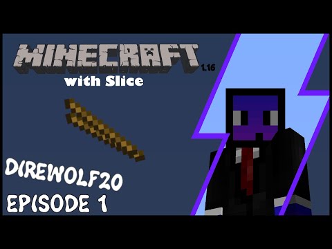 Starting Out - FTB Direwolf20 1.16 LP1 EP1