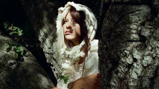 Cover art for Grudges -Melanie Martinez