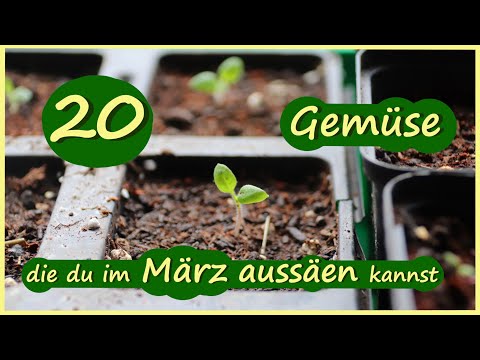 , title : '20 Gemüse die du im März aussäen kannst / Aussaat Tipps März'
