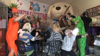 preview picture of video 'Harlem Shake SPA TOURCOING - Portes Ouvertes mai 2013'