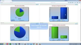 IBM Business Monitor demo
