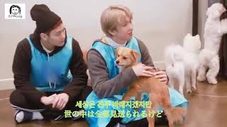 IMFACT 4 Love 임팩트 インファクト 歌詞 日本語訳