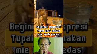 Download lagu Ekspresi nya bikin ngakak, gak sekalian suruh nyobain siomay... #fyp #shorts mp3 Download lagu Ekspresi nya bikin ngakak, gak sekalian suruh nyobain siomay... #fyp #shorts mp3