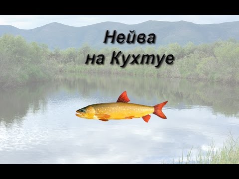 Русская Рыбалка 3.99 Нейва на Кухтуе