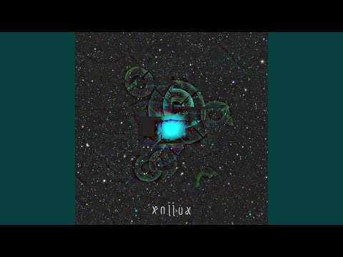 Beija-flor video