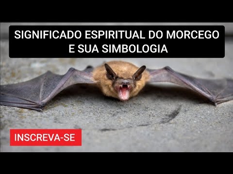 SIGNIFICADO ESPIRITUAL DO MORCEGO #animaldepoder #simbologia#morcegos #significado #halowen