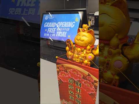 Elixir Esports Cathay Opening #esports #esportsplayer