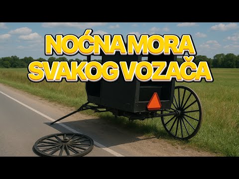 Skoro pa pobio Amiše