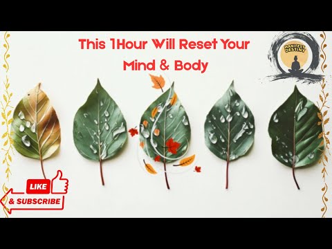 1 Hour of Positive Energy & Deep Relaxation Music / Positive Encounters - By Manifest Destiny Music