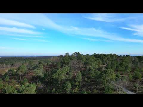 Floyd.....Waldorf Quantum, Waldorf M ,Luftrum Lunaris 2, Sample Birds,