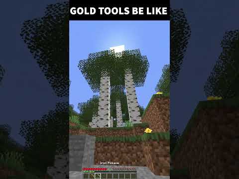 Unbelievable Gold Durability in Minecraft
