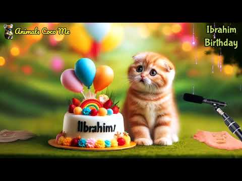 IBRAHIM HAPPY BIRTHDAY SONG WITH NAMES | Adorable Cute Cat 😺