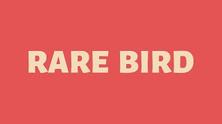 Download lagu Noah Blumenfeld - Rare Bird (Lyric Video) mp3