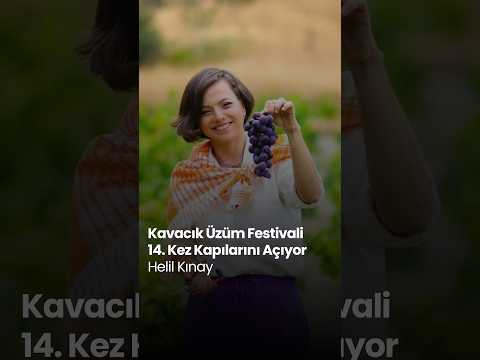 Kavacık Üzüm Festivali 14. Kez Kapılarını Açıyor | Helil Kınay: "19-20 Eylül'de Kavacık'tayız"
