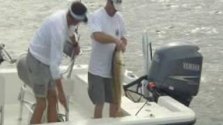 preview picture of video 'VENICE FISHING LODGE2_768K_4x3.wmv'