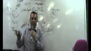 Dr Ahmed Abd Elrahman Pharma Revision Pt 10 {Endocrine 3}