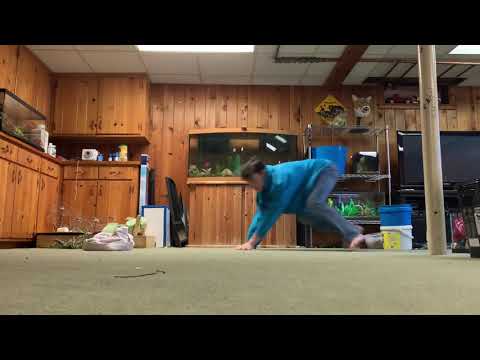 Jumping on all fours