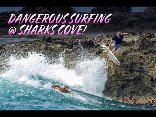 DANGEROUS SURFING AT SHARKS COVE