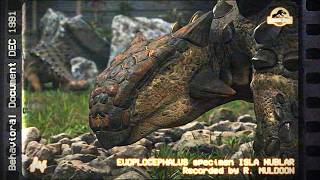 Muldoon's Log - Supplementary Footage D