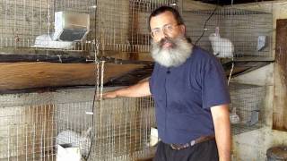 Urban Survival Livestock: Raising Rabbits Part 1