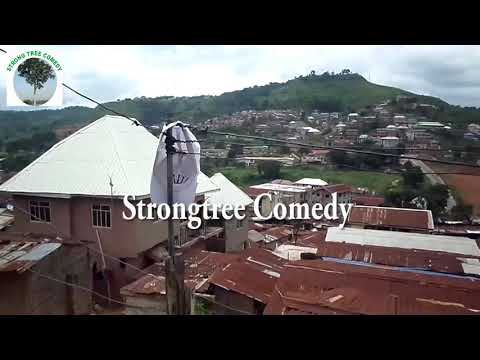 Strongtree - The lieing father #harrysong who ask you