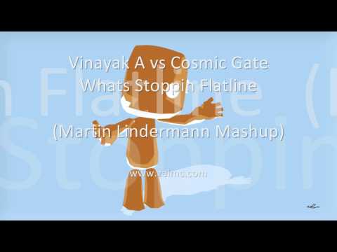 [HD] Vinayak A vs Cosmic Gate - Whats Stoppin Flatline (Martin Lindermann Mashup) [1080p]