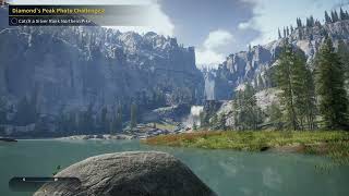 :Update: Diamonds Peak Photo Challenge 2