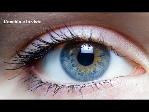 LE SUPERSINTESI DI SCIENZE: l'occhio e la vista (classe terza)